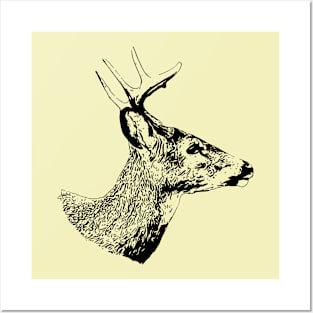 Deer Posters and Art